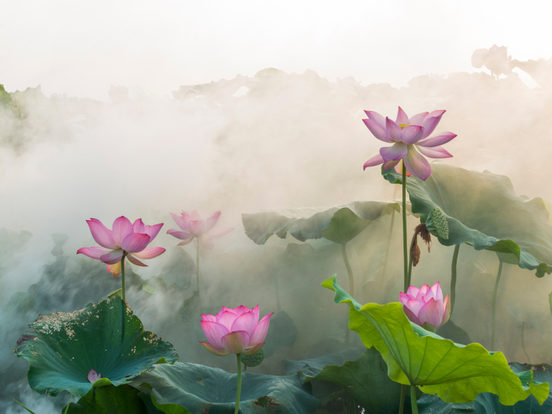 【行事ご案内】大慈山万縁寺——舎利展・全国大朝山 並びに 台湾三十三観音巡礼