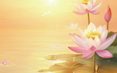 【行事ご案内】三十三観音巡礼法会 in Tokyo, Japan